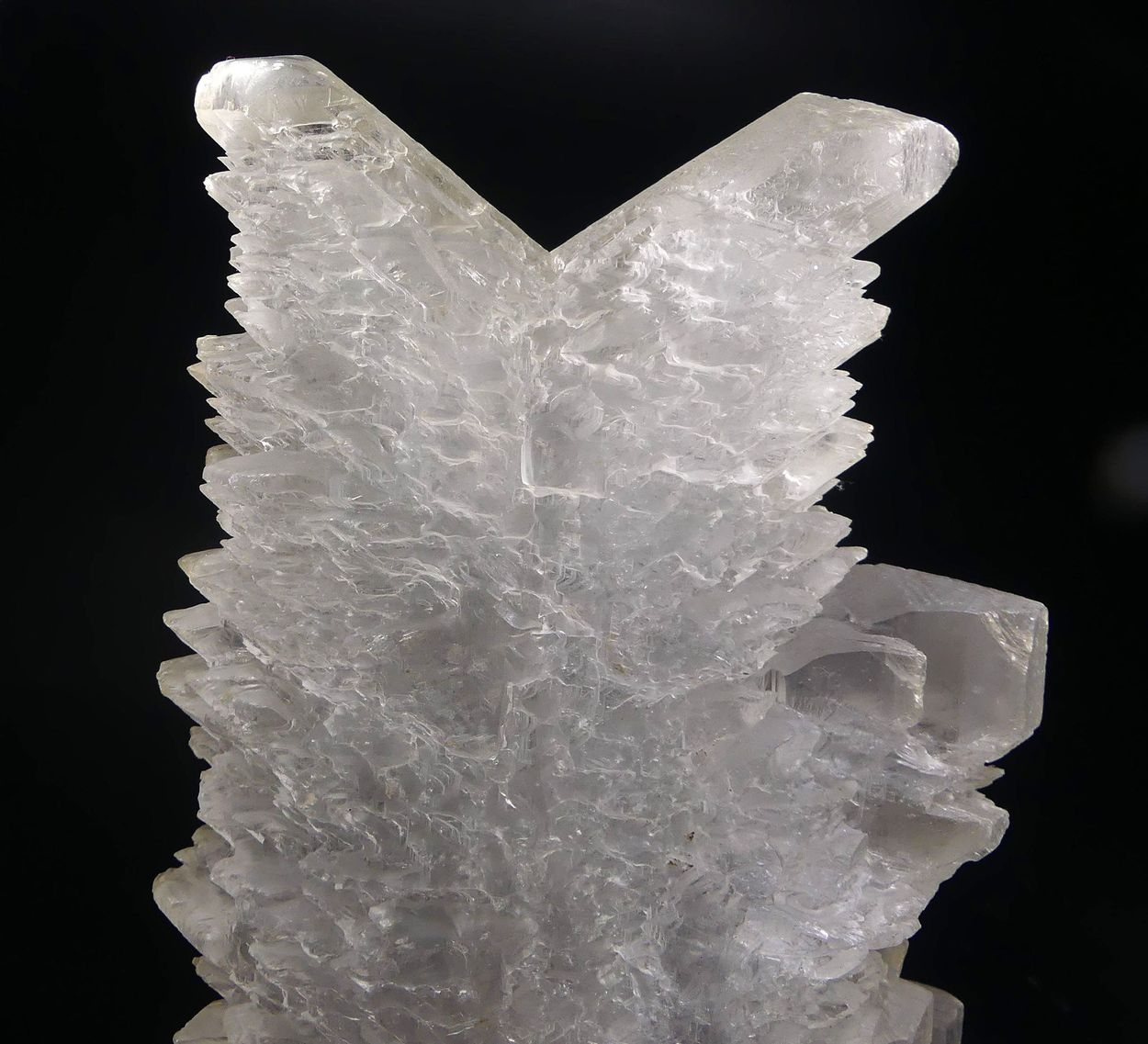 Selenite