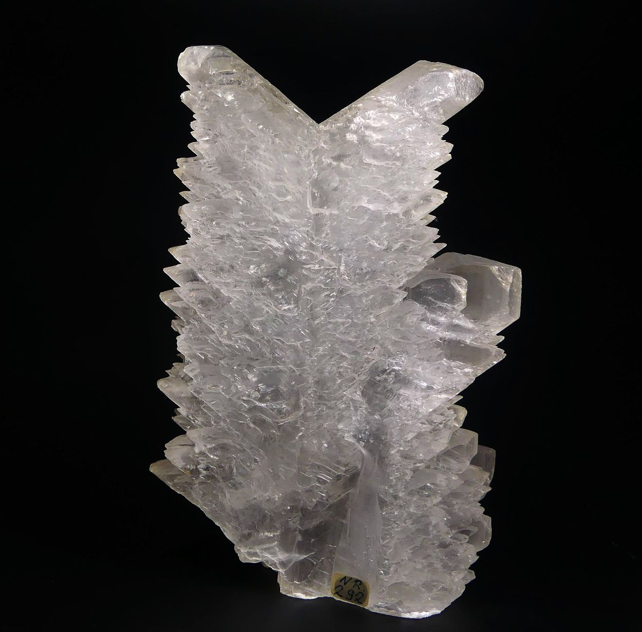 Selenite