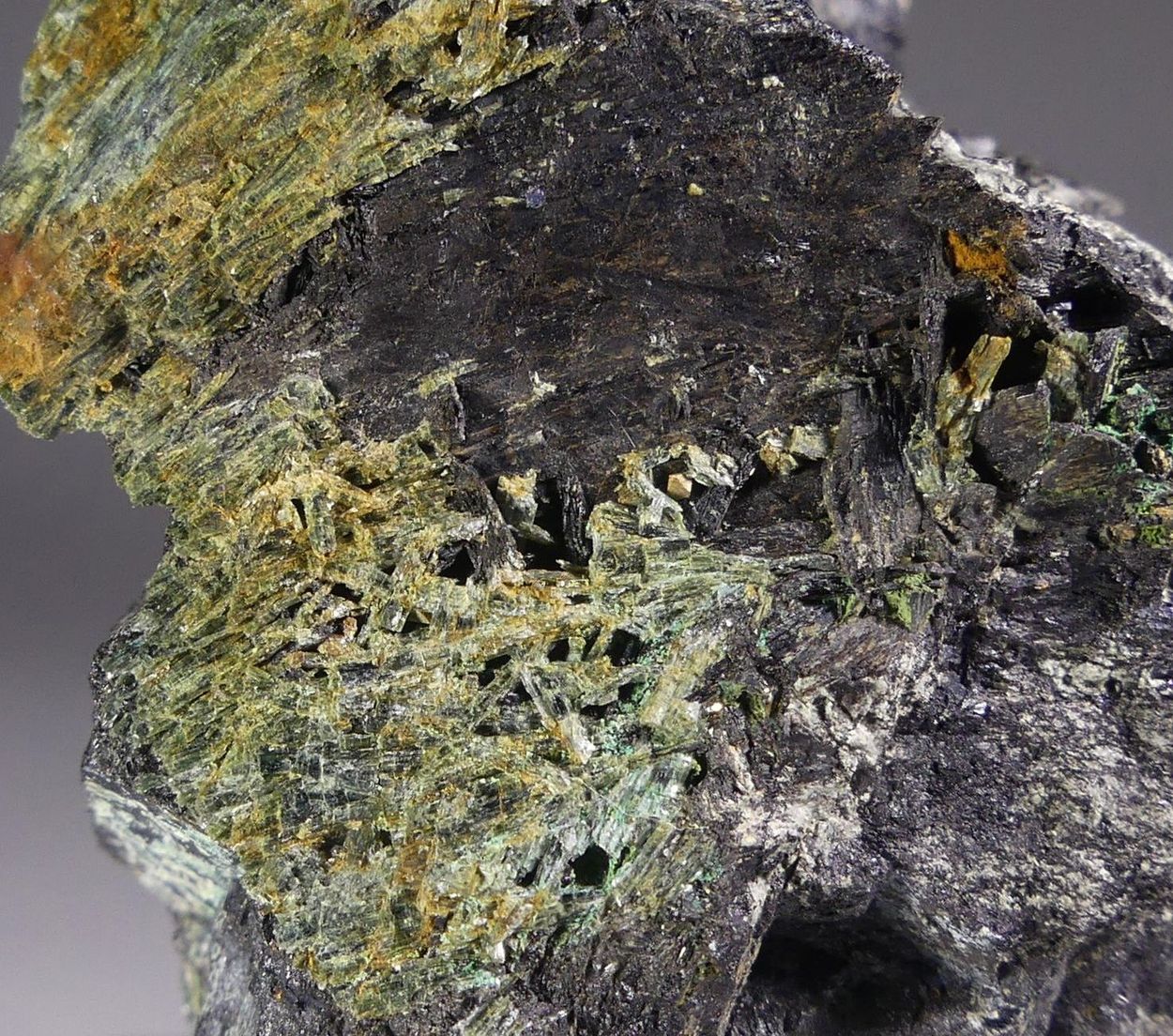 Cerite-(Ce) Törnebohmite-(Ce) Allanite & Amphibole