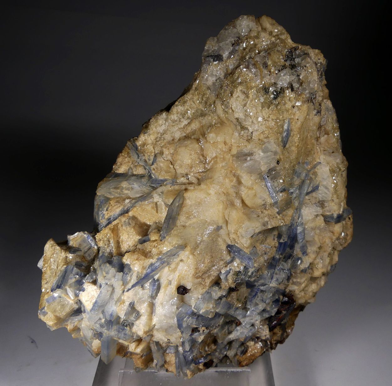 Kyanite & Staurolite