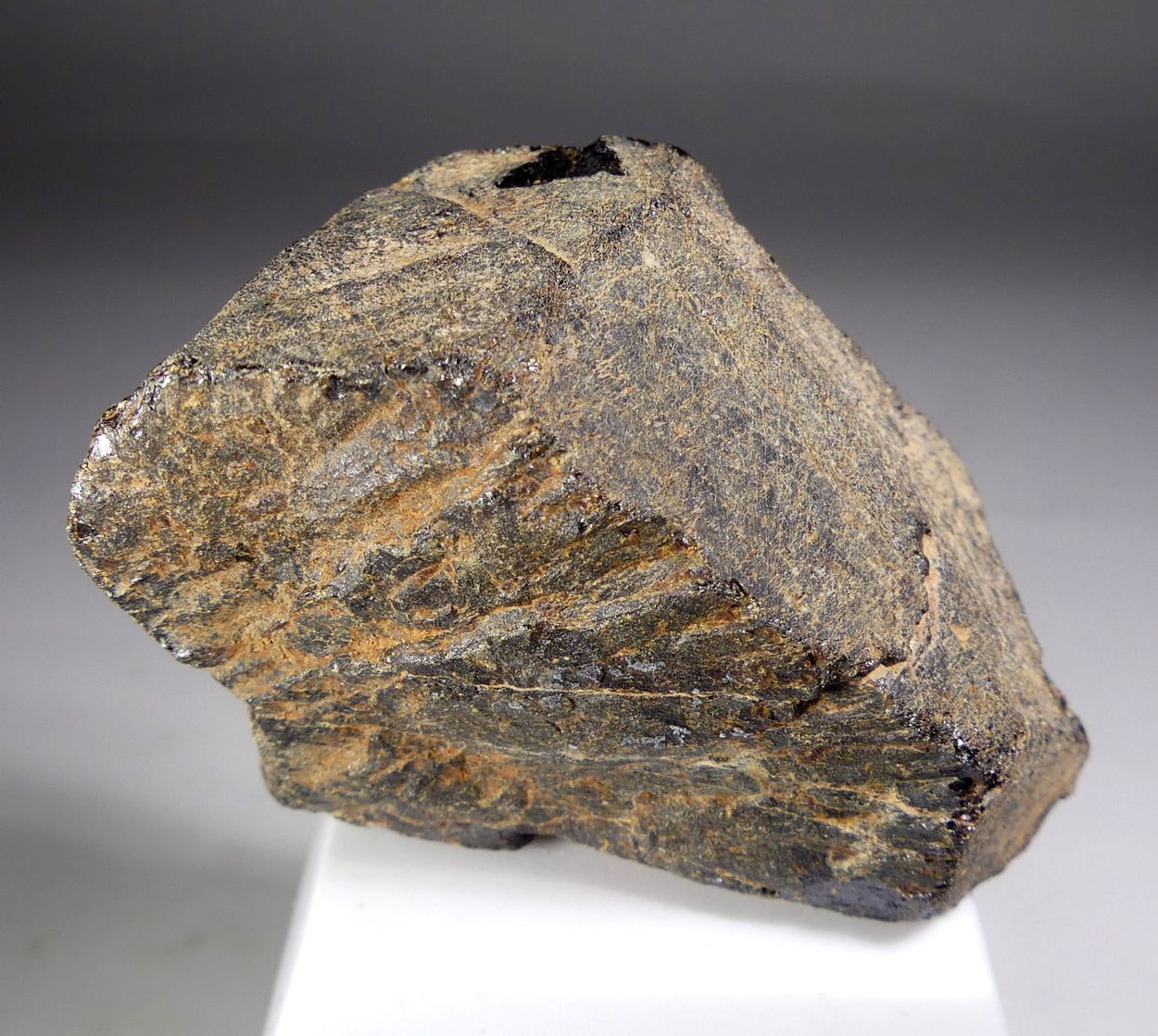 Euxenite-(Y) With Samarskite-(Y)