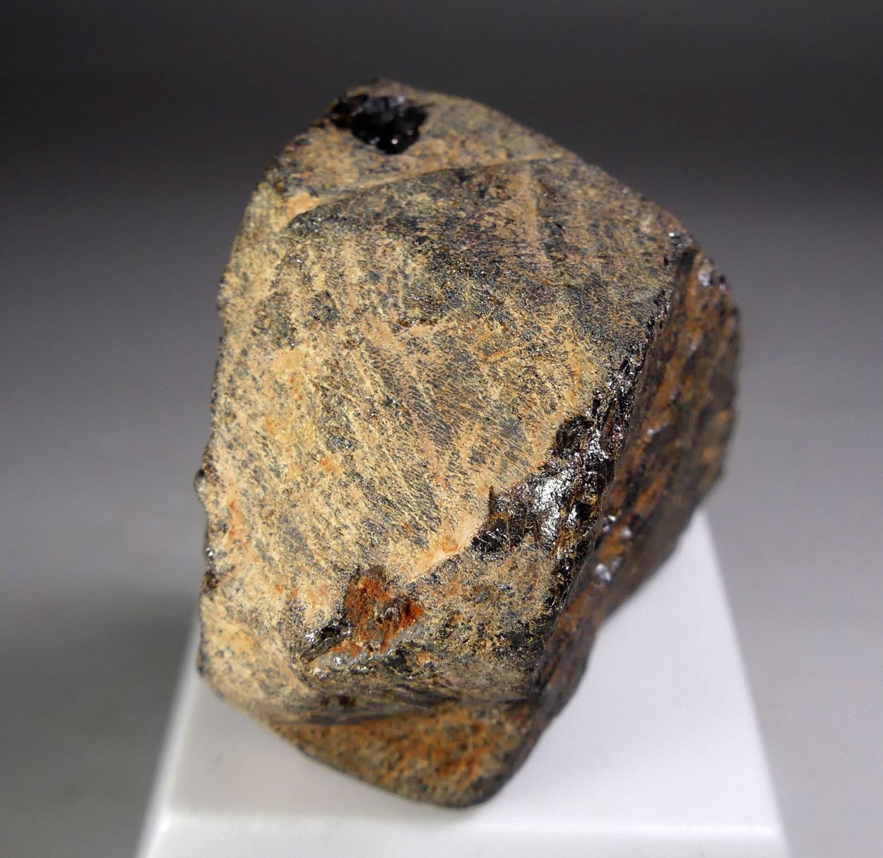 Euxenite-(Y) With Samarskite-(Y)
