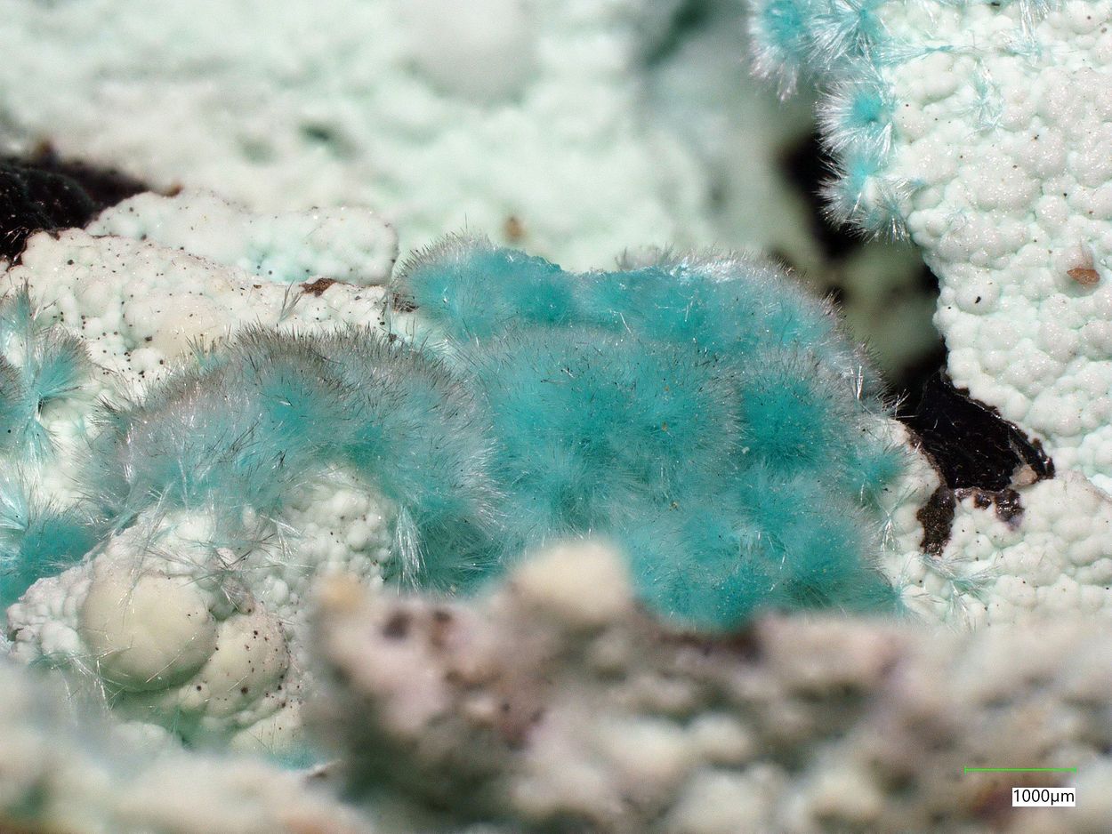 Agardite-(La) On Gibbsite