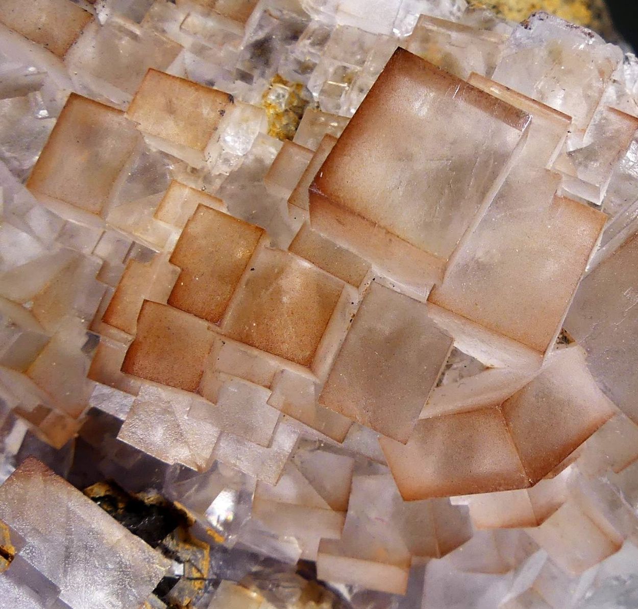 Fluorite With Limonite