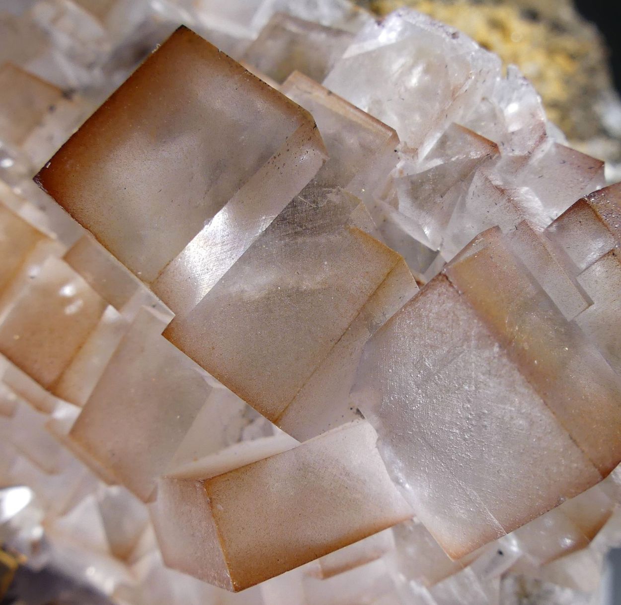 Fluorite With Limonite