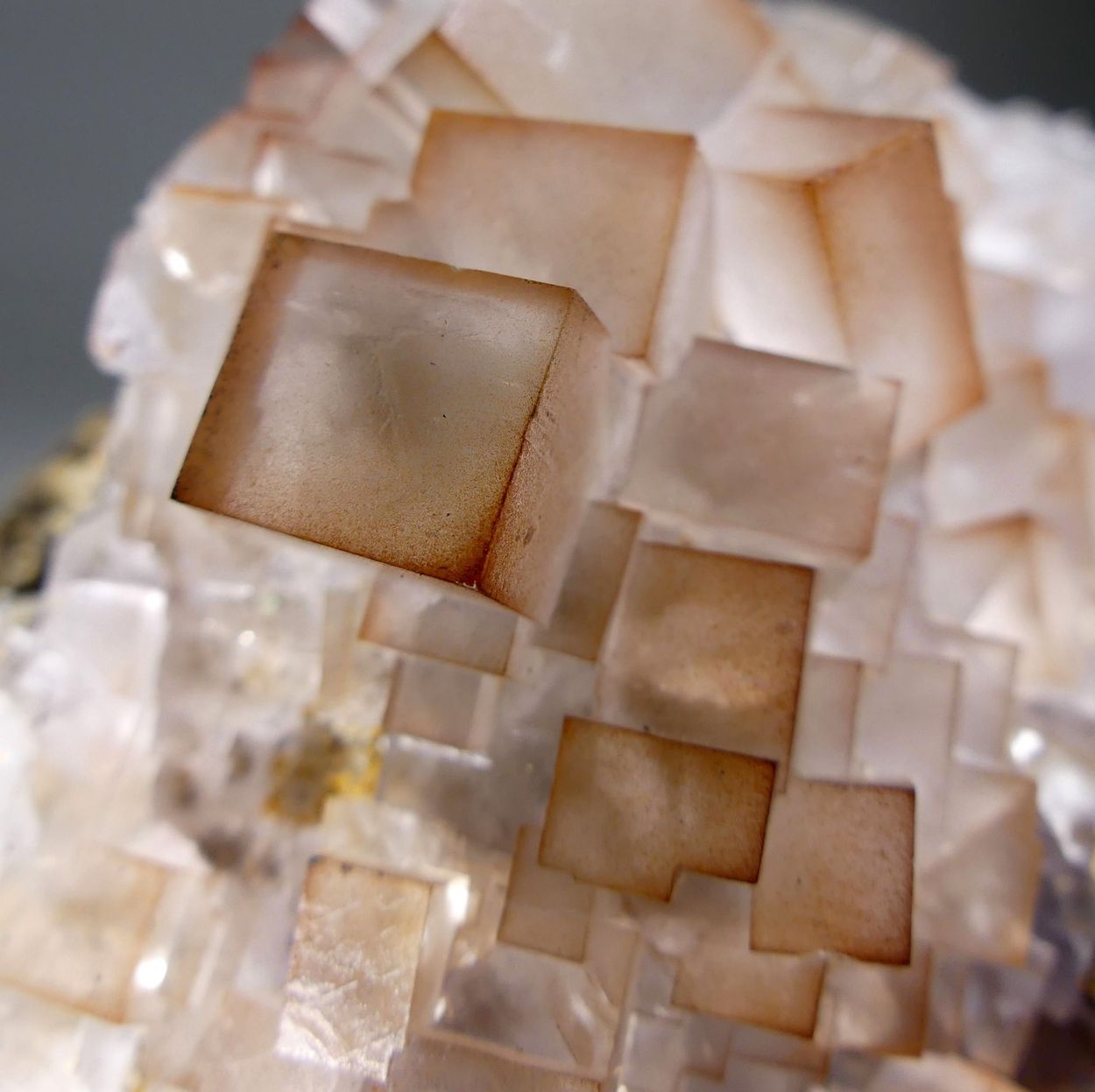 Fluorite With Limonite
