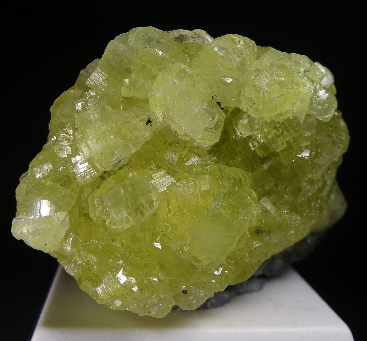 Prehnite
