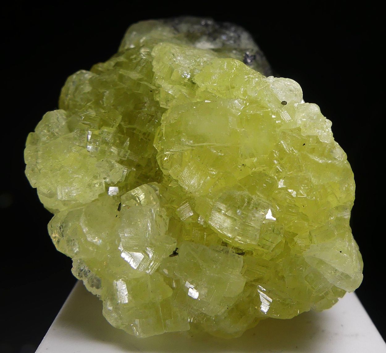 Prehnite