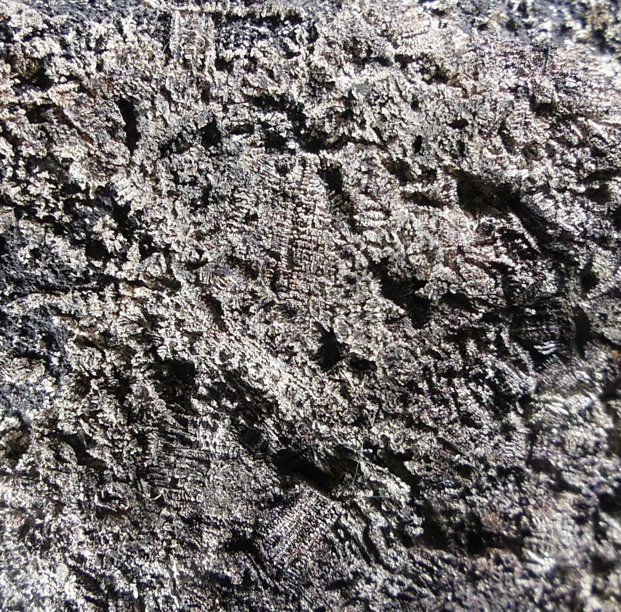 Native Silver On Native Arsenic