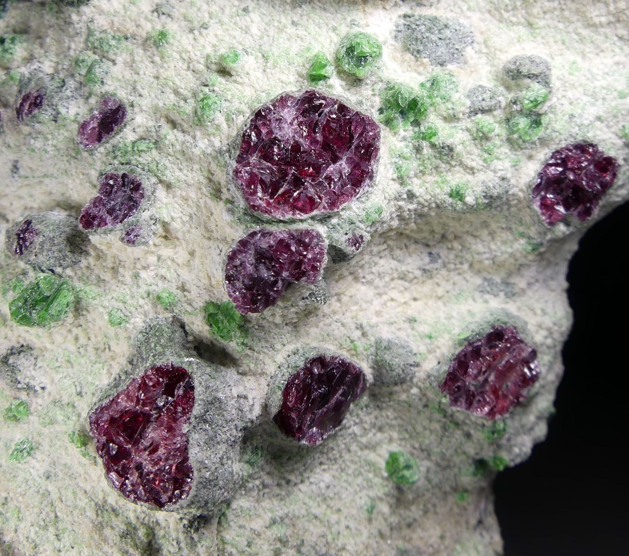 Pyrope With Chromian Diopside Forsterite & Kelyphite