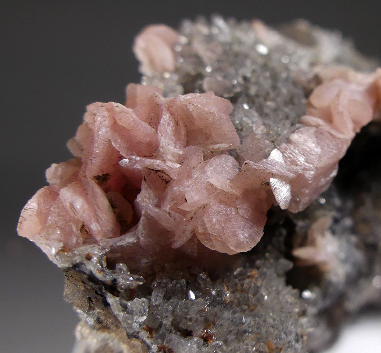 Rhodochrosite With Quartz