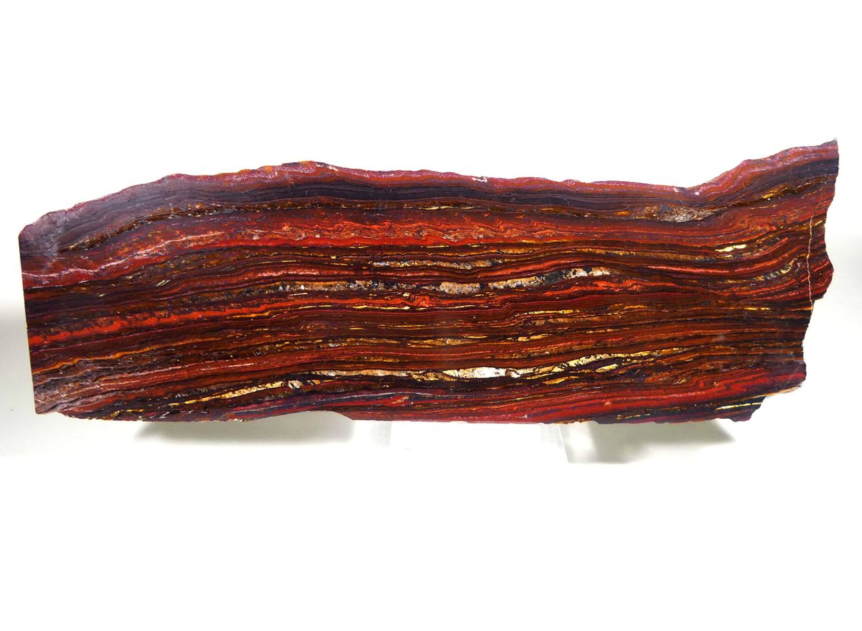 Tiger Iron Psm Fossil Stromatolite