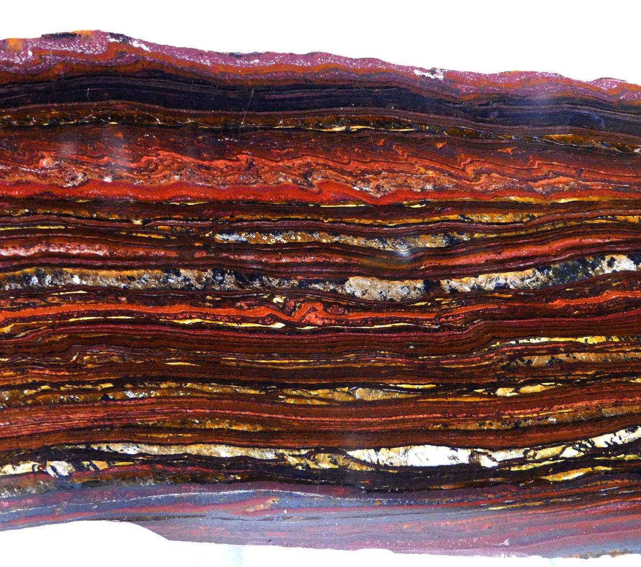 Tiger Iron Psm Fossil Stromatolite