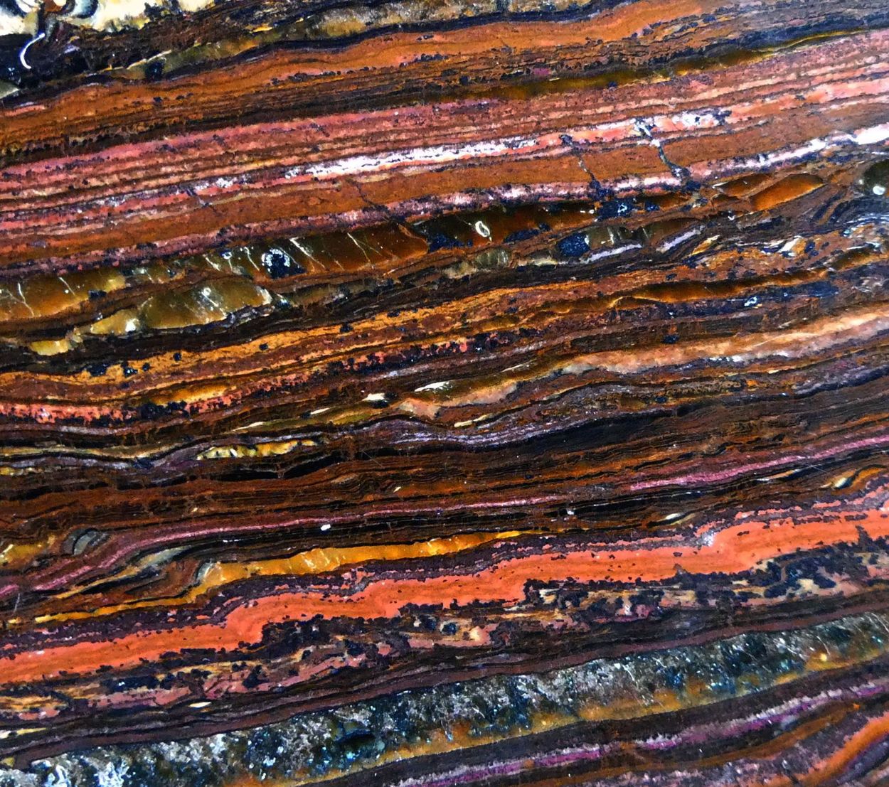 Tiger Iron Psm Fossil Stromatolite