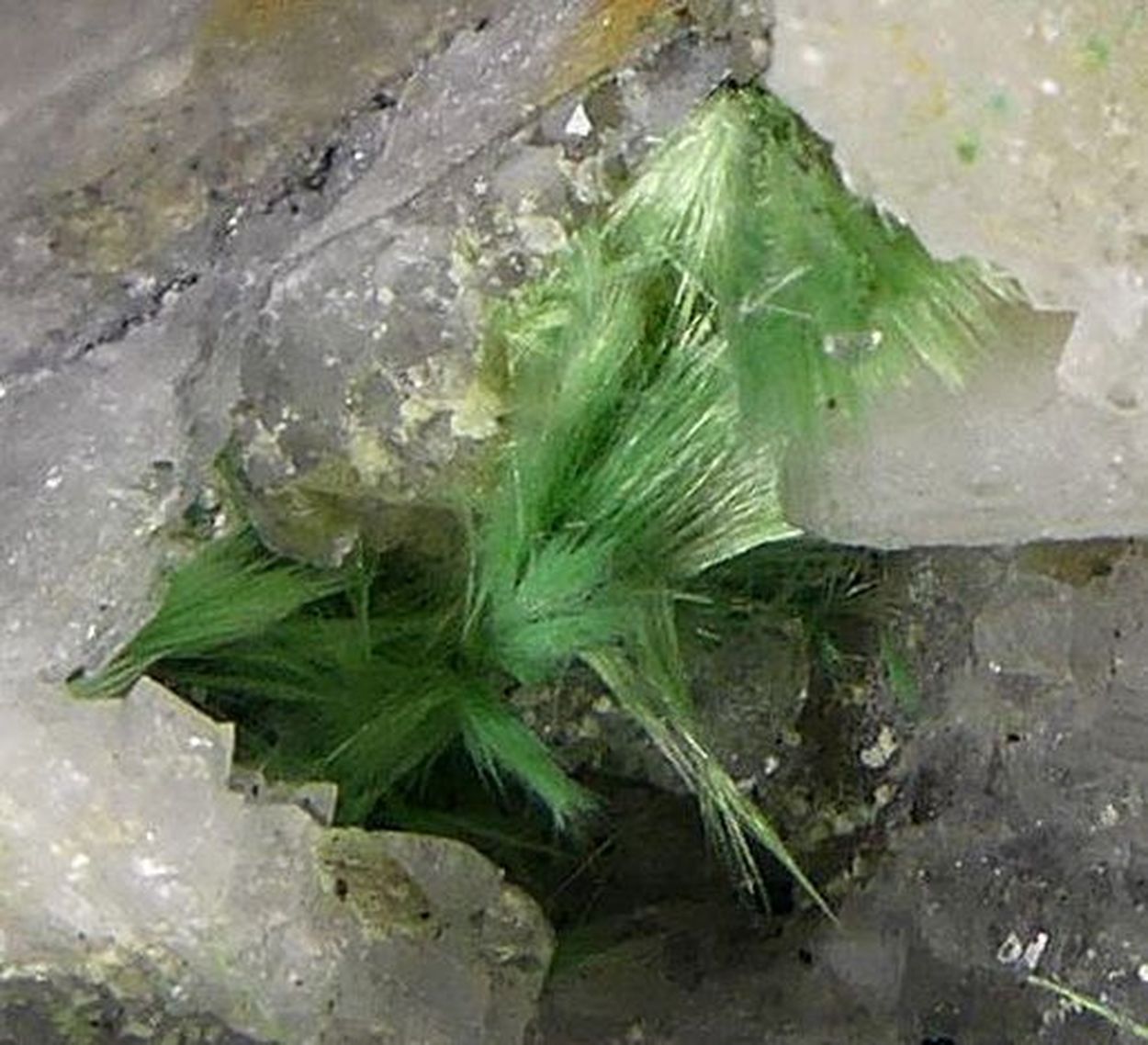 Agardite-(Ce)