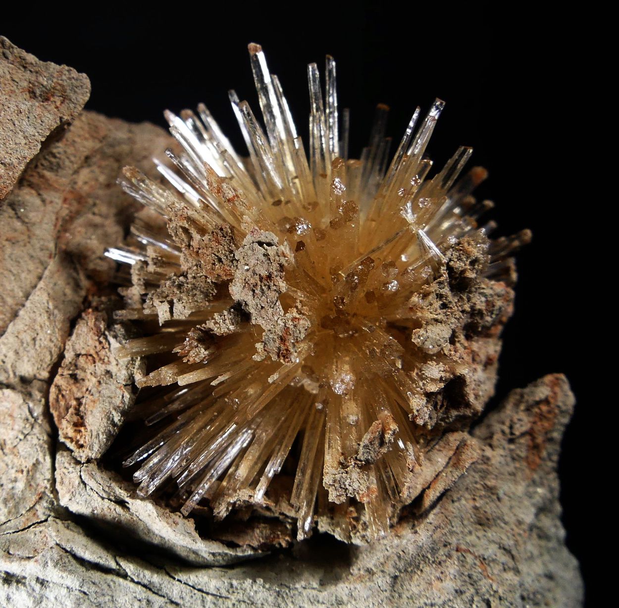 Aragonite