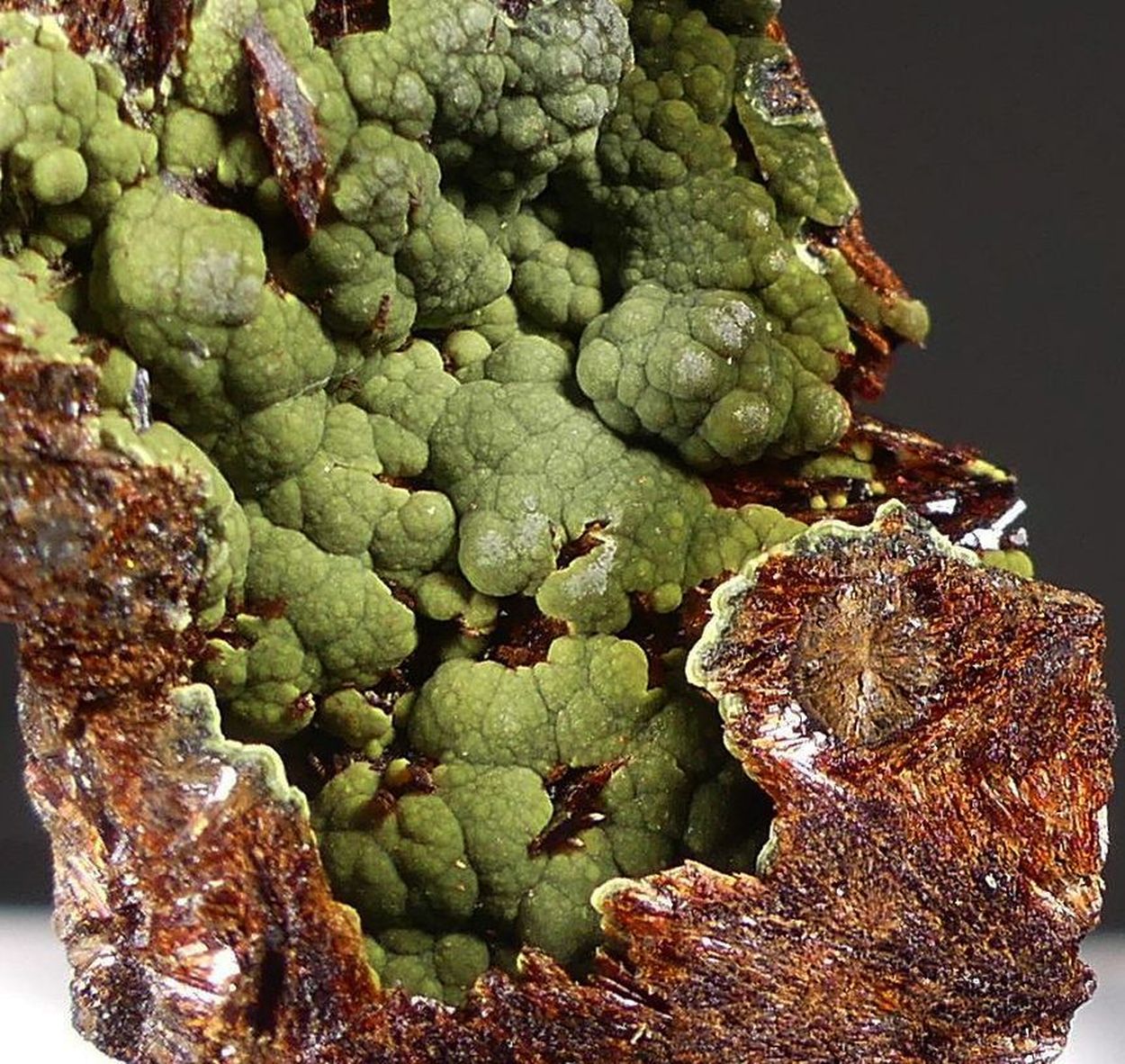 Kidwellite On Beraunite