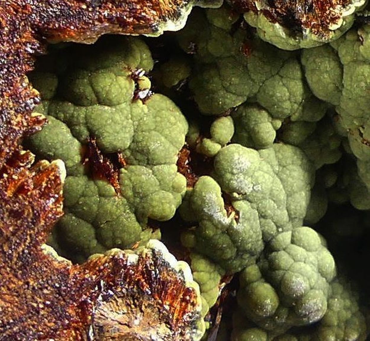 Kidwellite On Beraunite