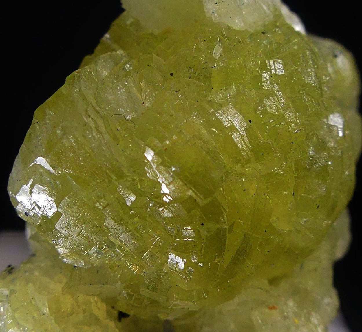 Prehnite