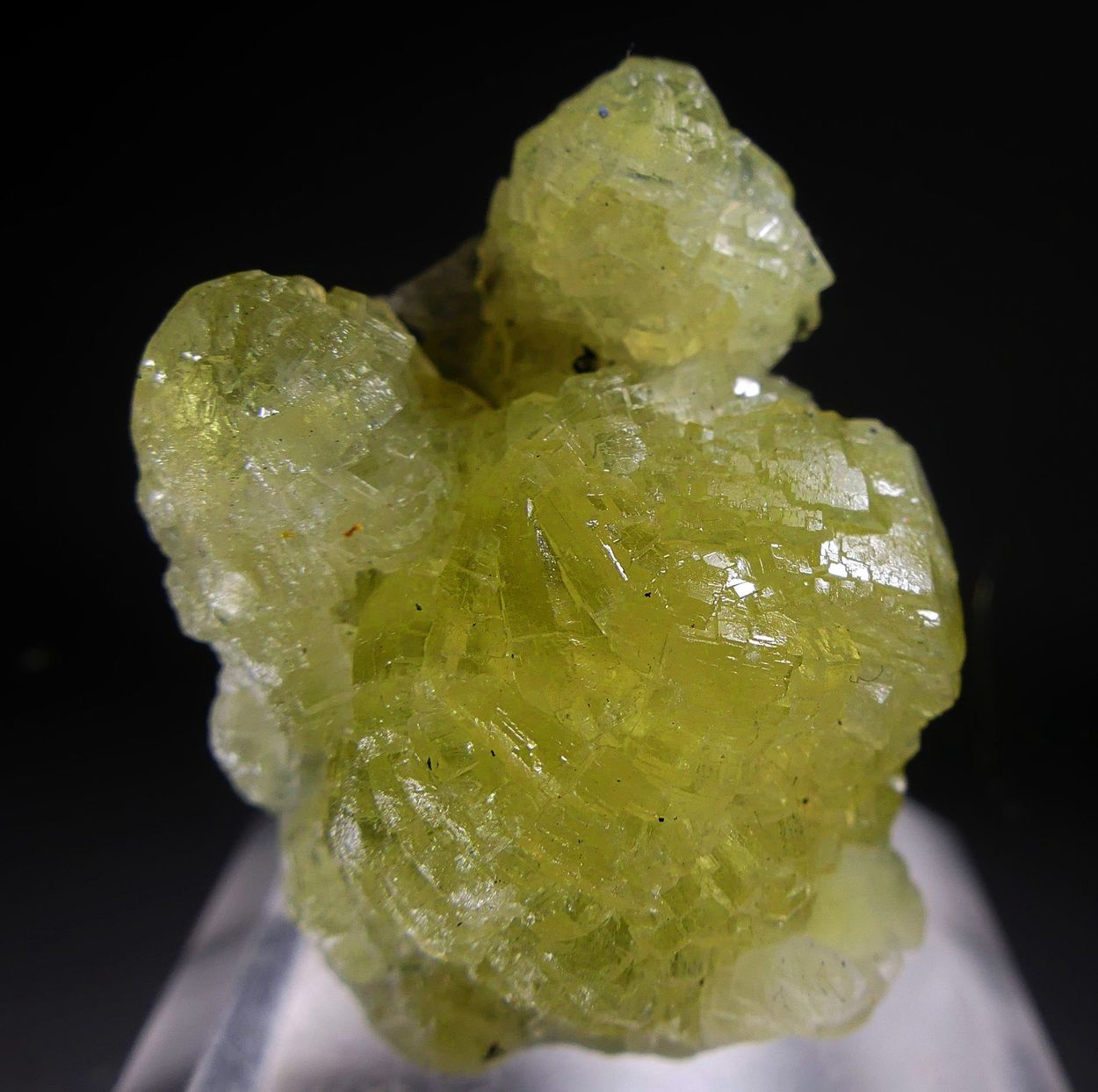 Prehnite