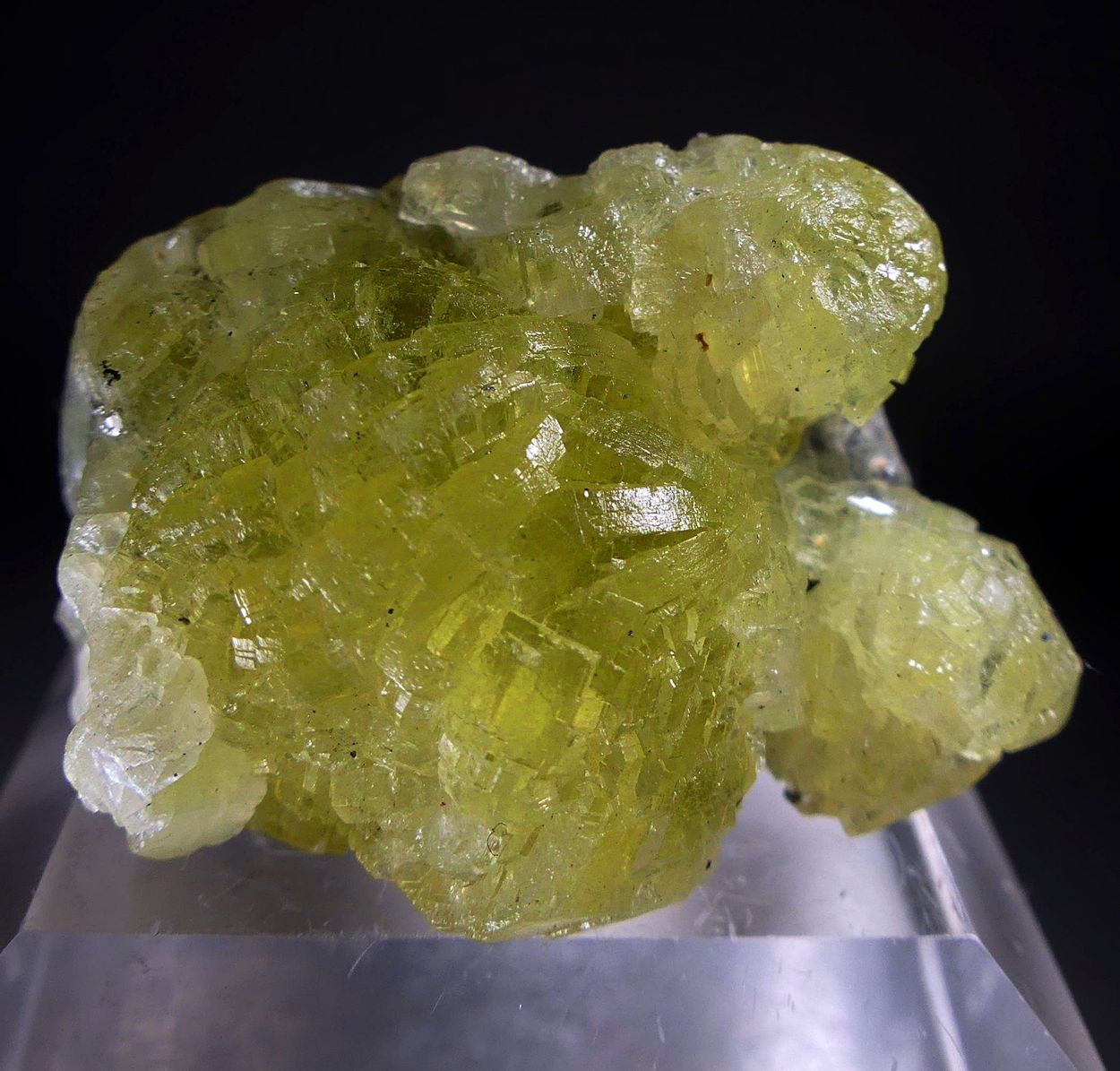 Prehnite