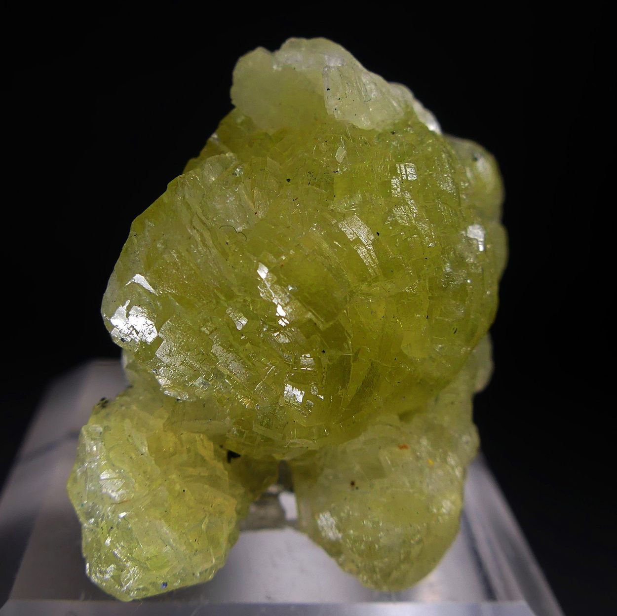 Prehnite
