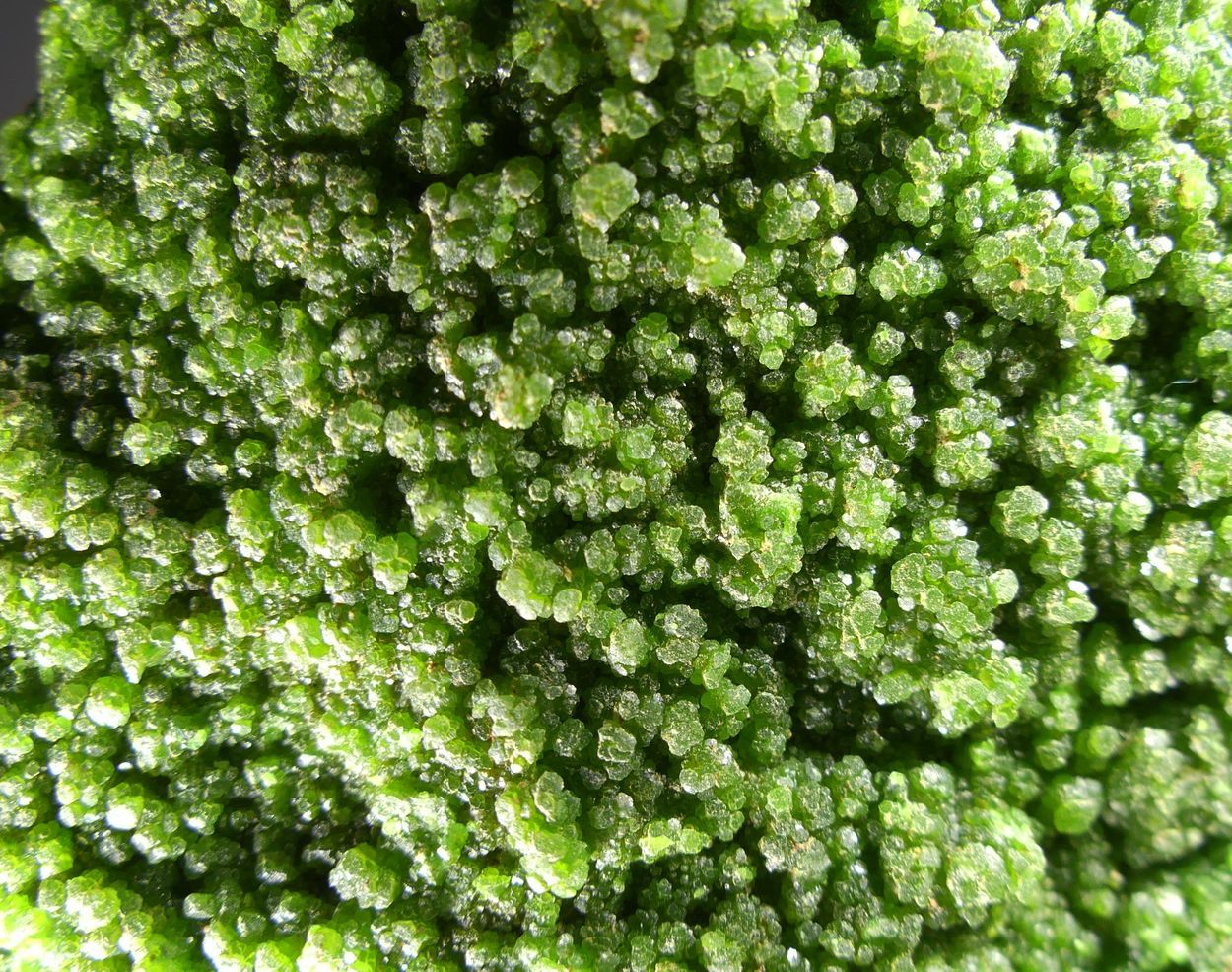Pyromorphite