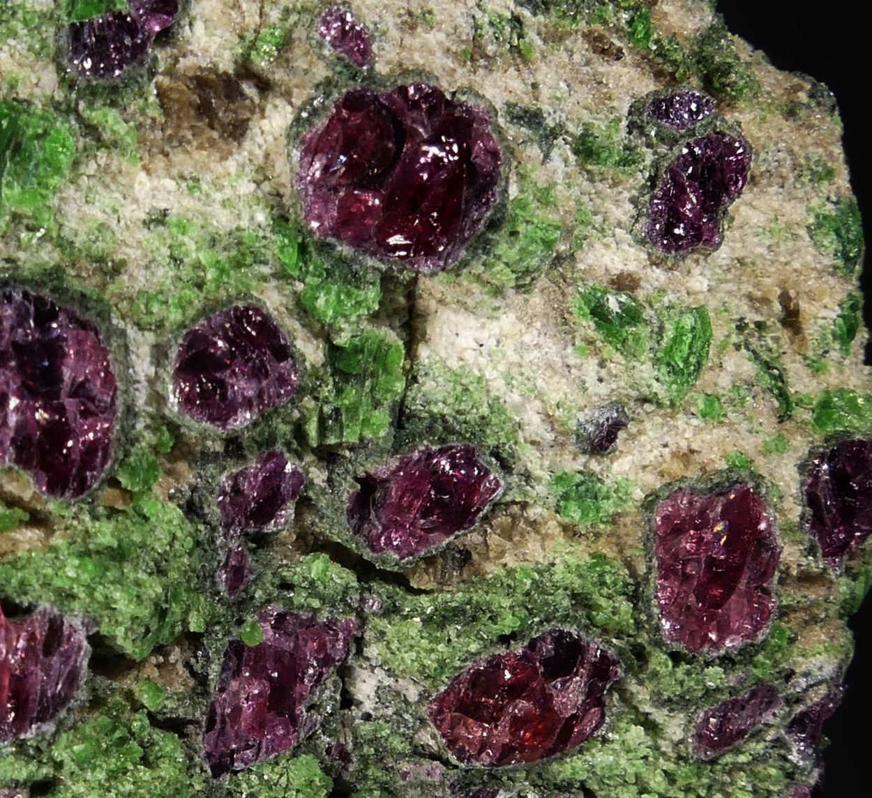 Pyrope & Chromian Diopside