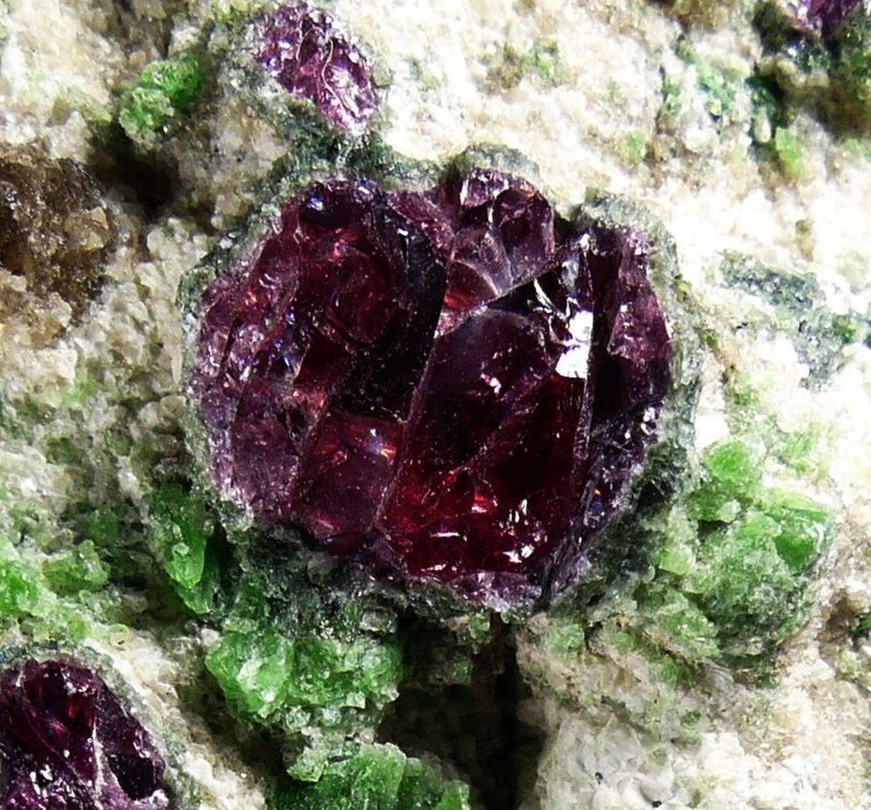 Pyrope & Chromian Diopside