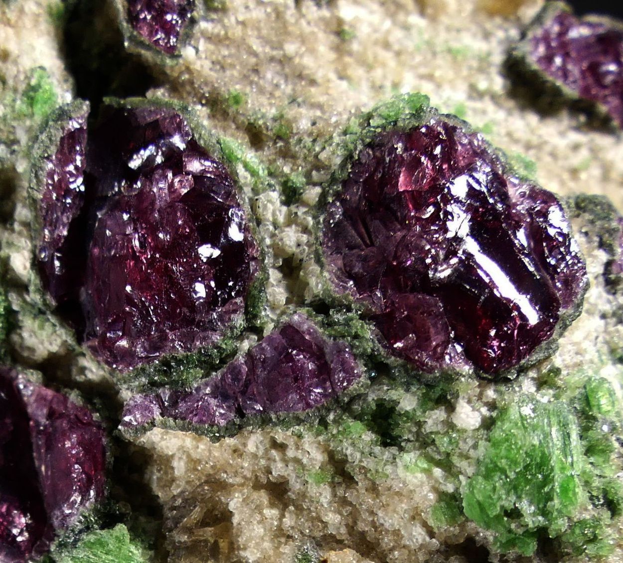 Pyrope & Chromian Diopside