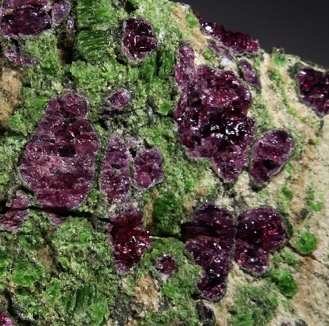 Pyrope & Chromian Diopside