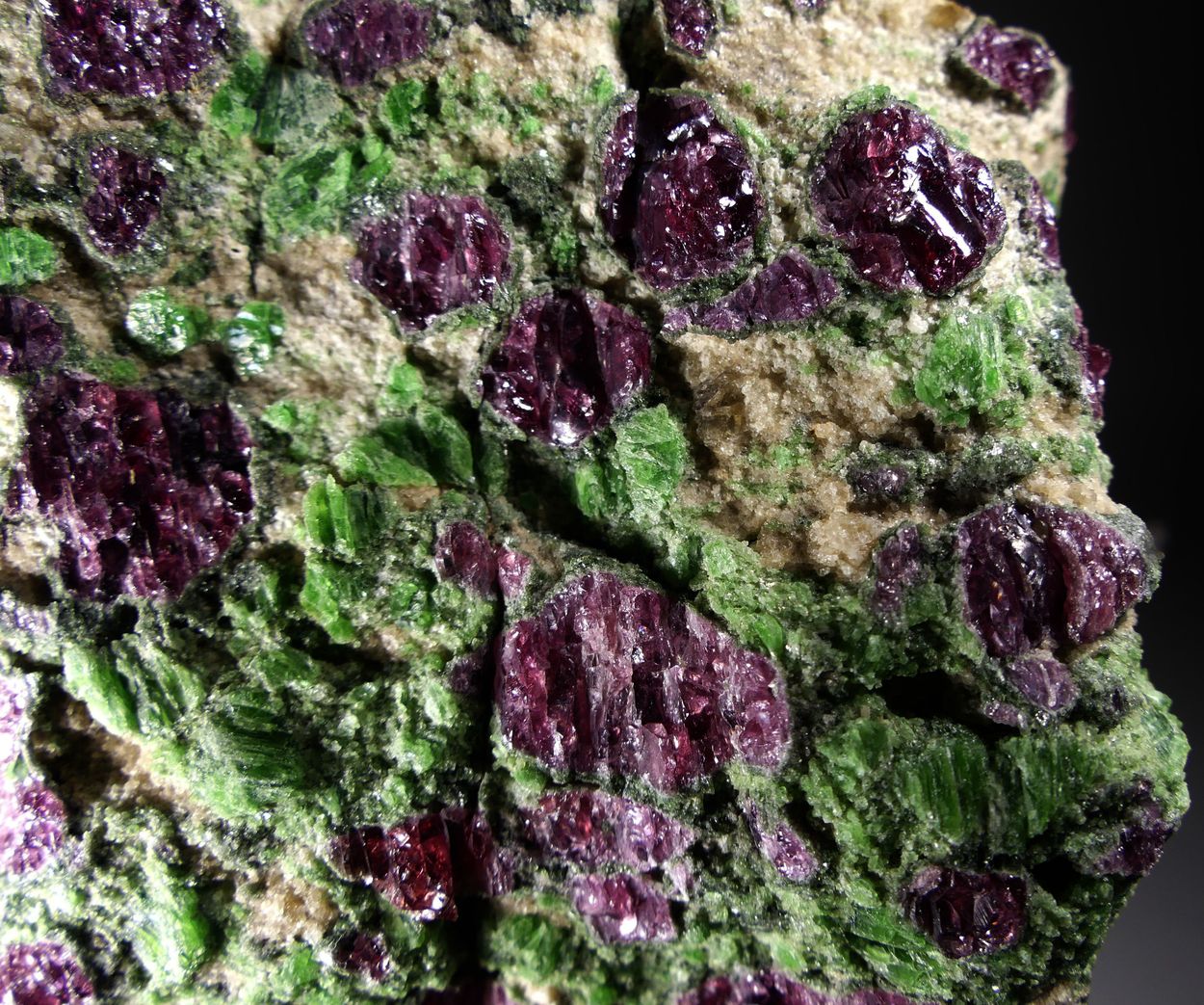 Pyrope & Chromian Diopside