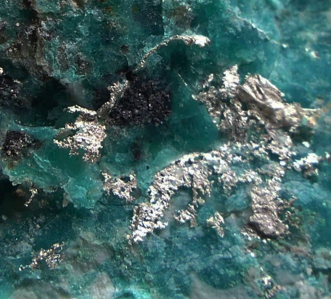Native Silver On Chrysocolla