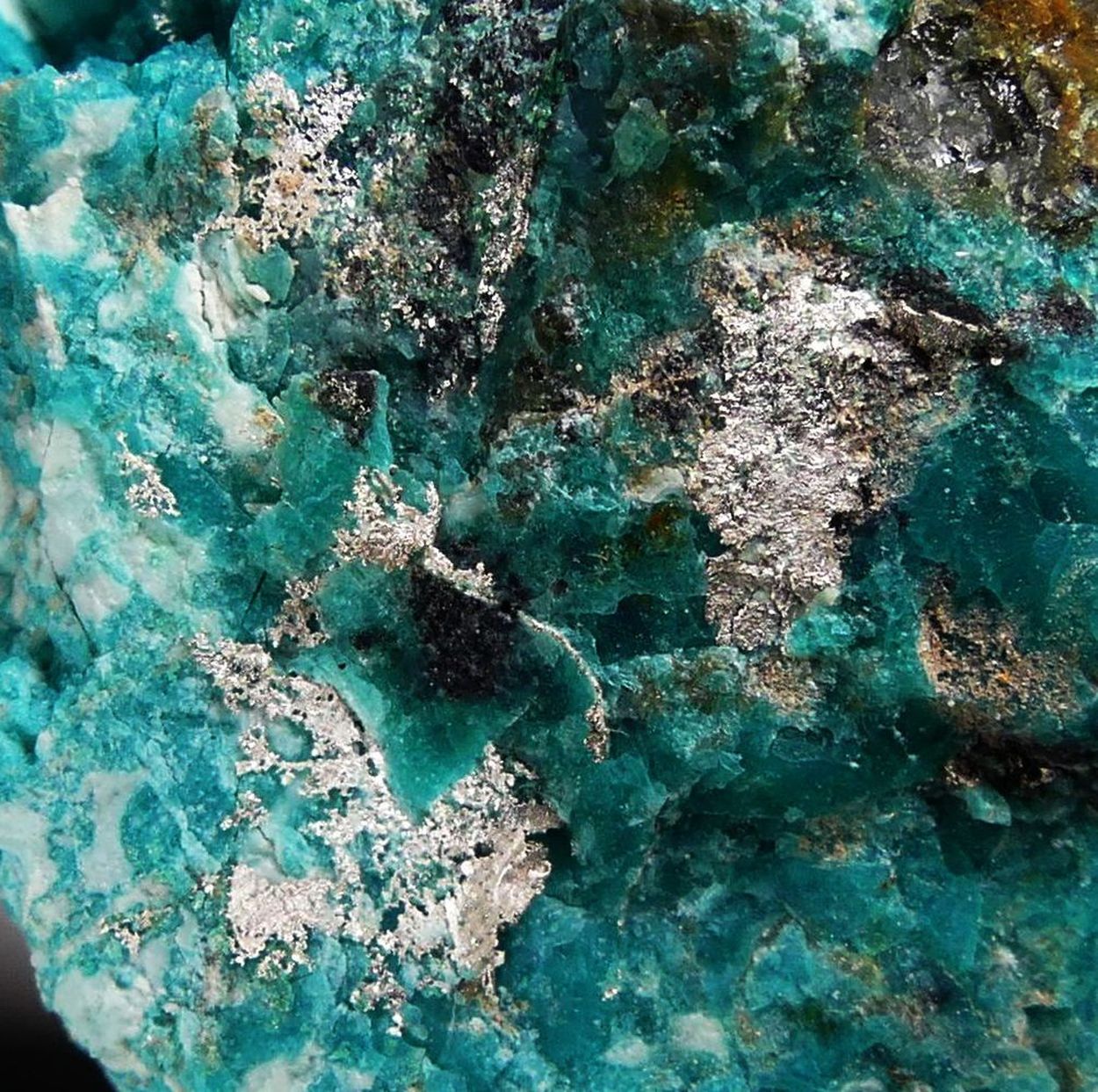 Native Silver On Chrysocolla