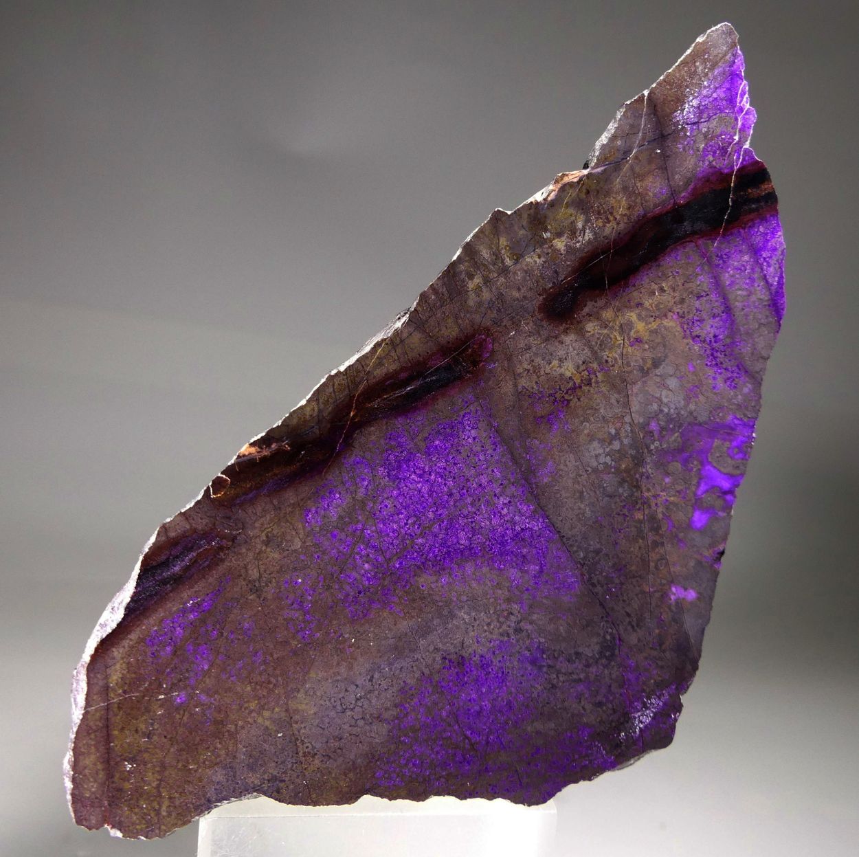 Sugilite
