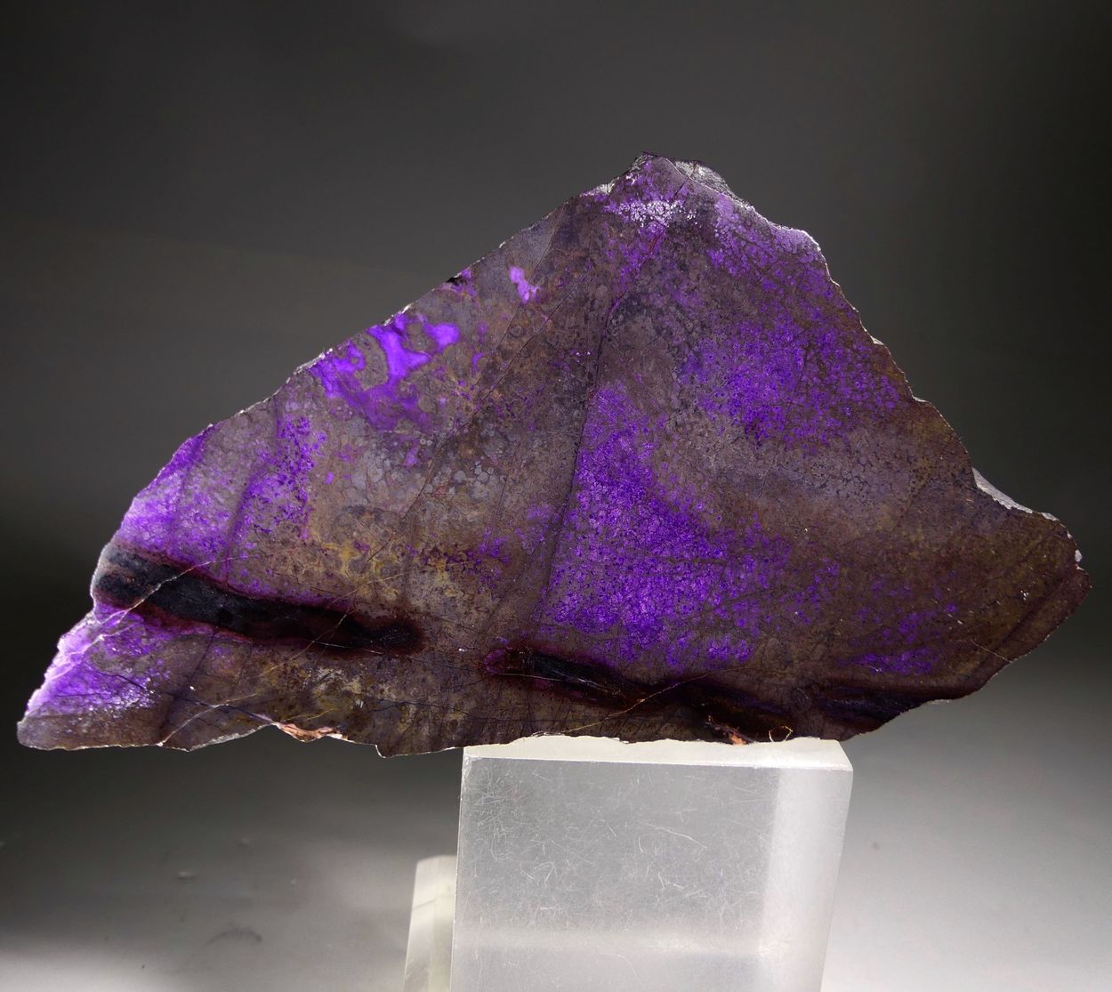 Sugilite