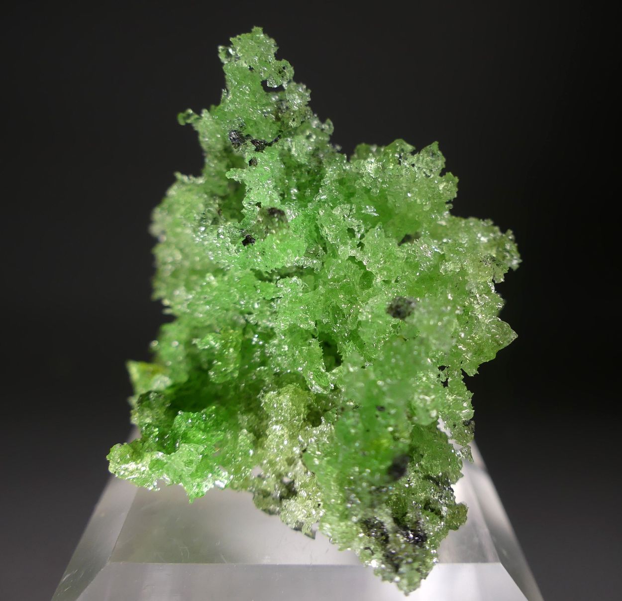 Forsterite