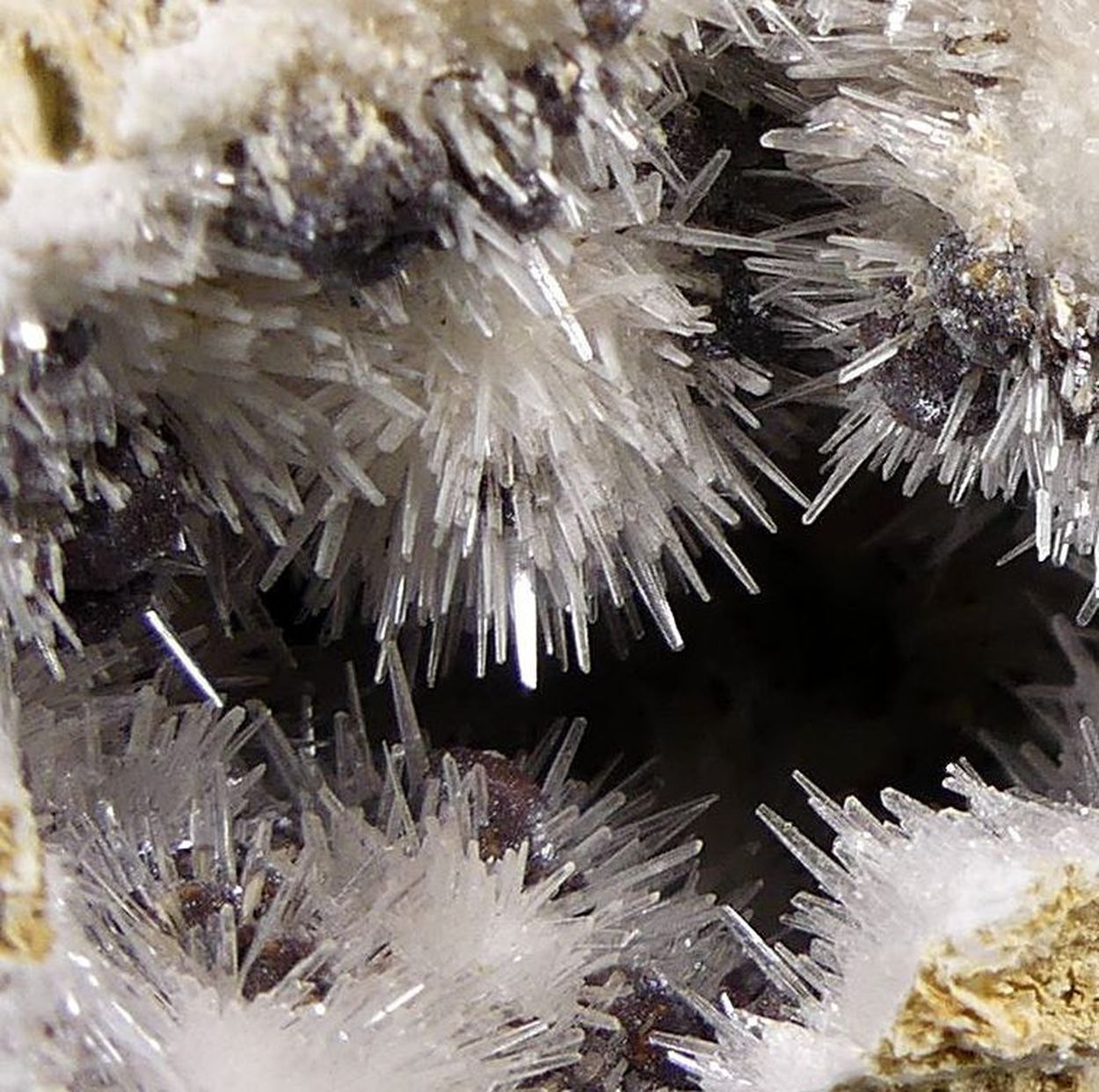 Kutnohorite On Aragonite