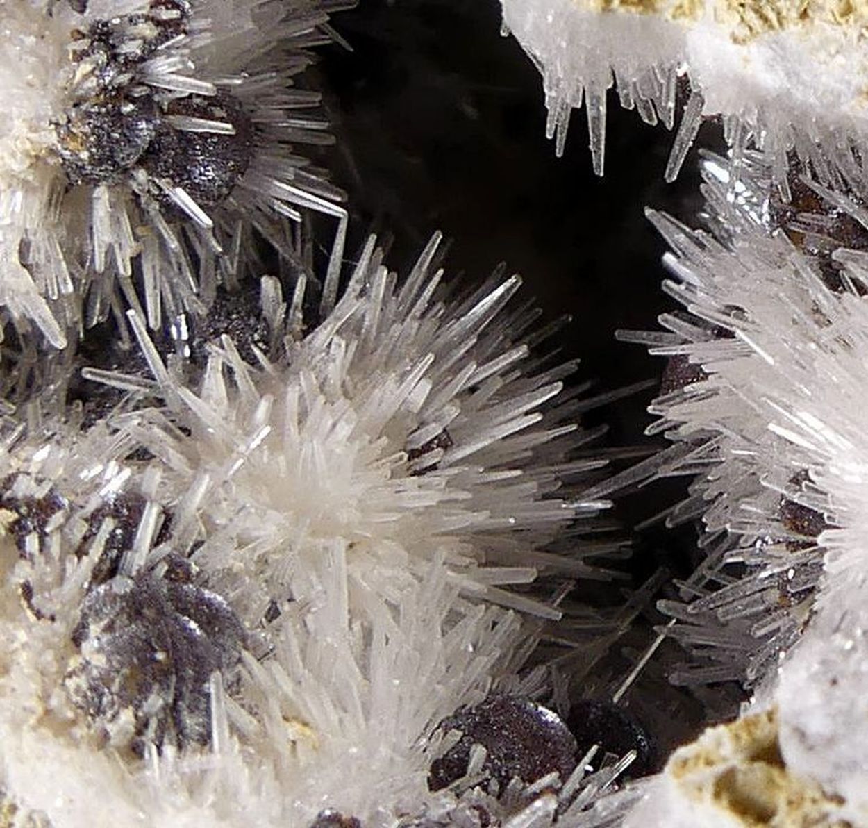 Kutnohorite On Aragonite