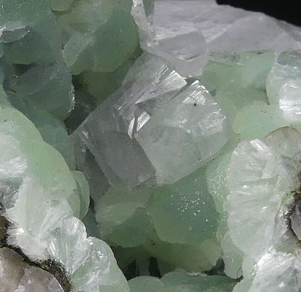 Fluorapophyllite-(K) On Prehnite