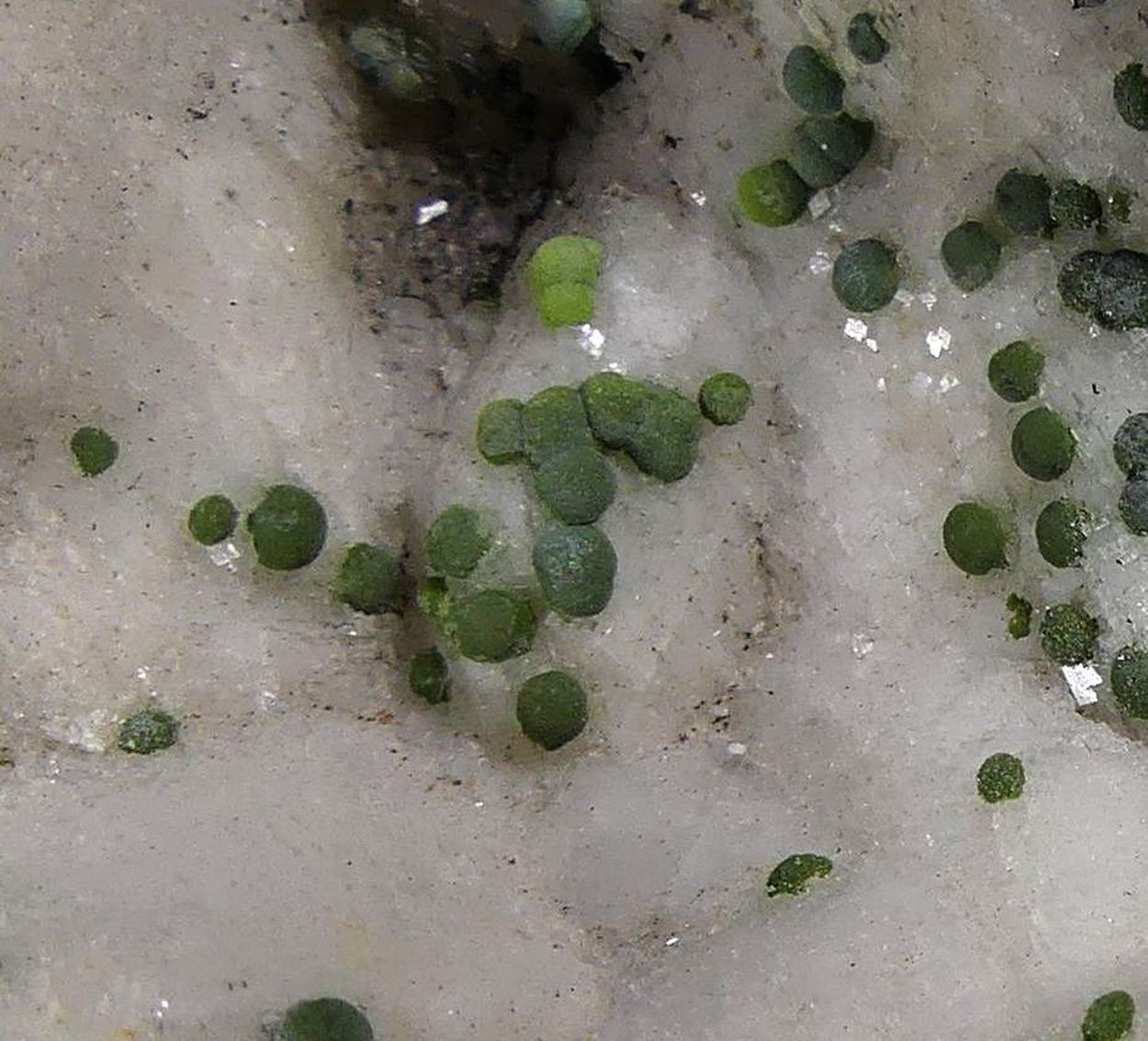 Mottramite On Dolomite Psm Calcite