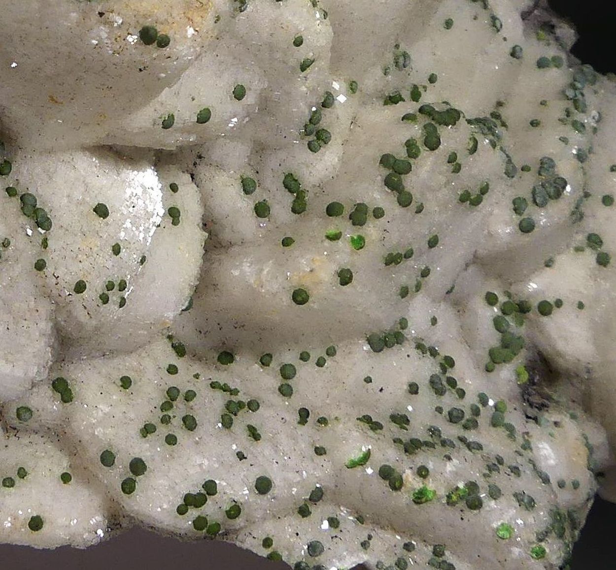 Mottramite On Dolomite Psm Calcite