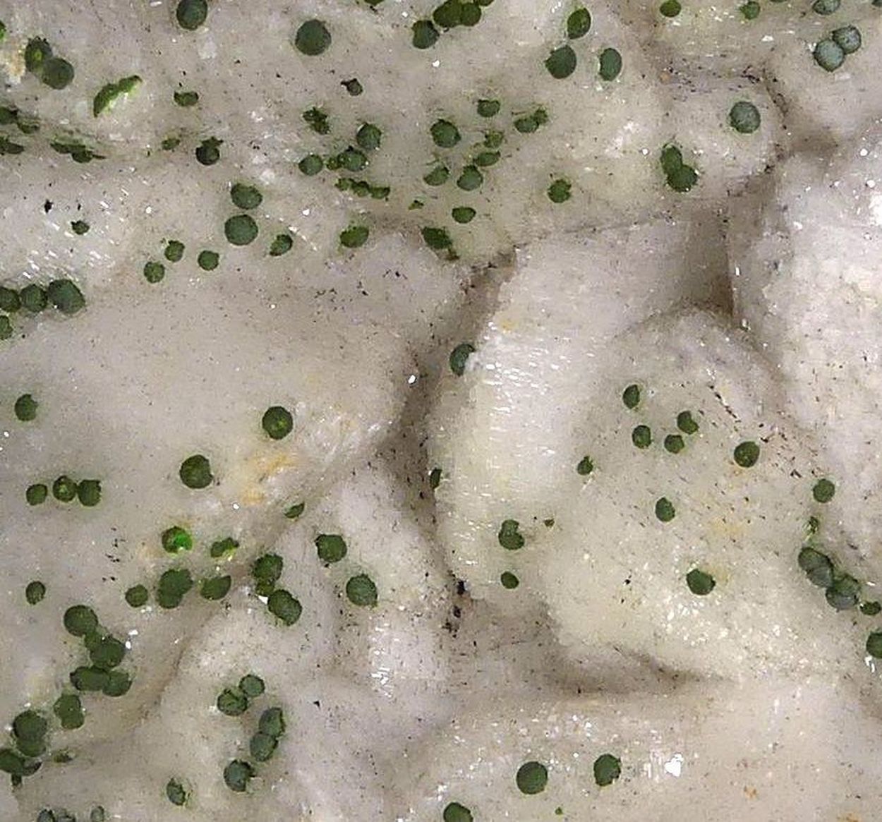 Mottramite On Dolomite Psm Calcite