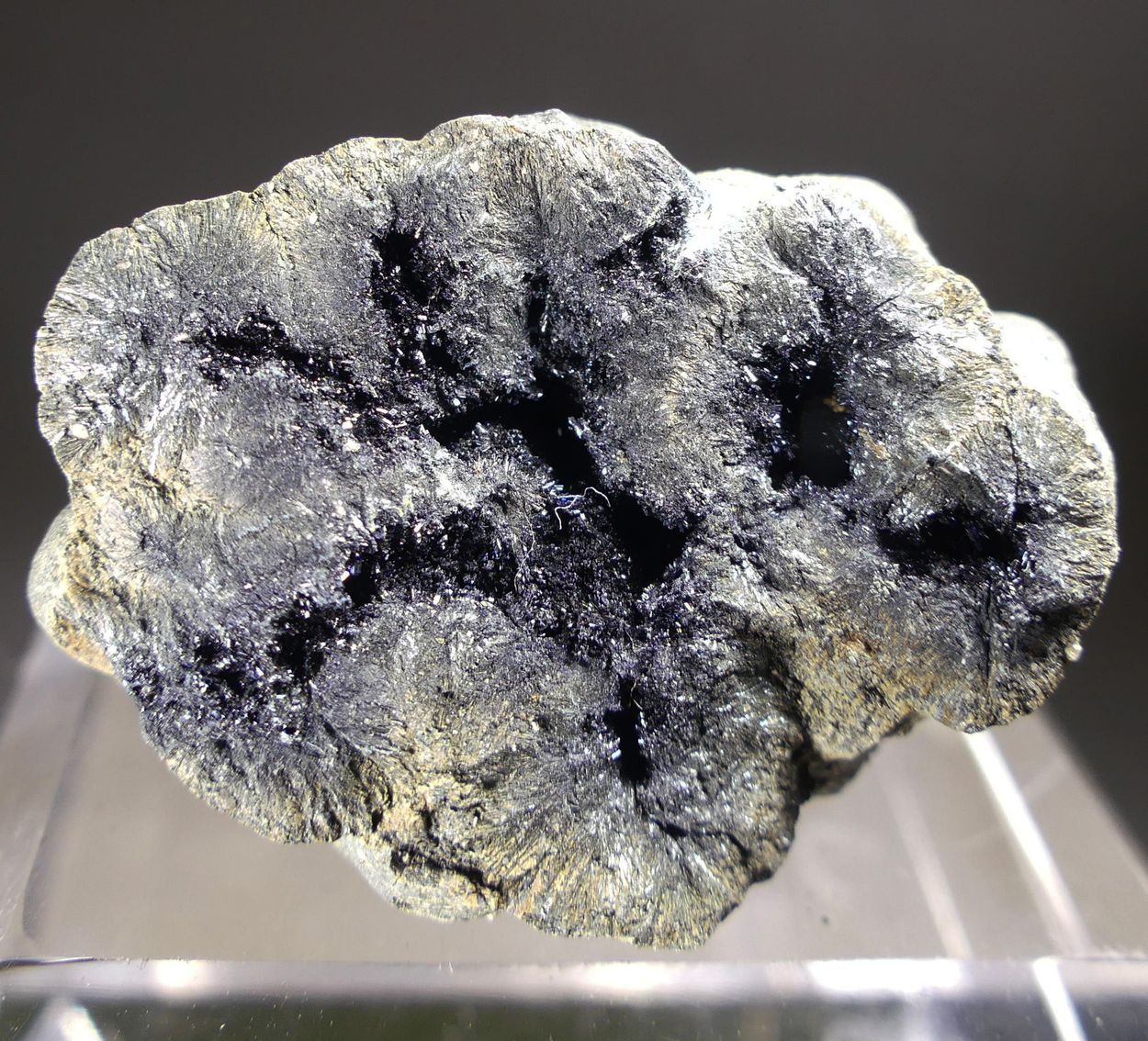 Vivianite