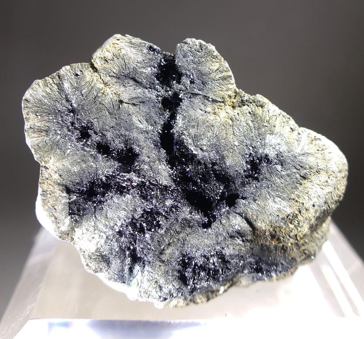 Vivianite