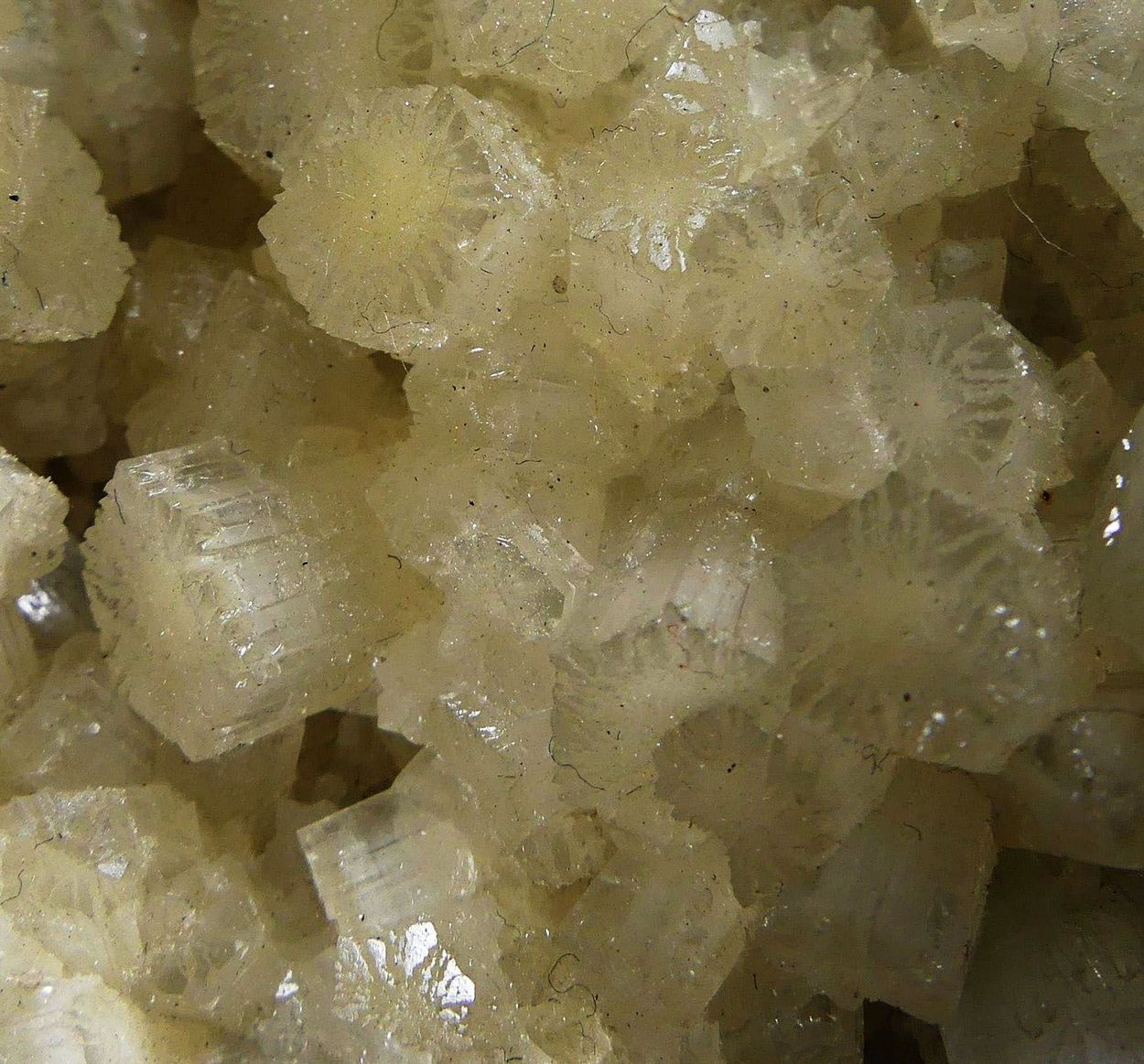 Aragonite With Native Sulphur