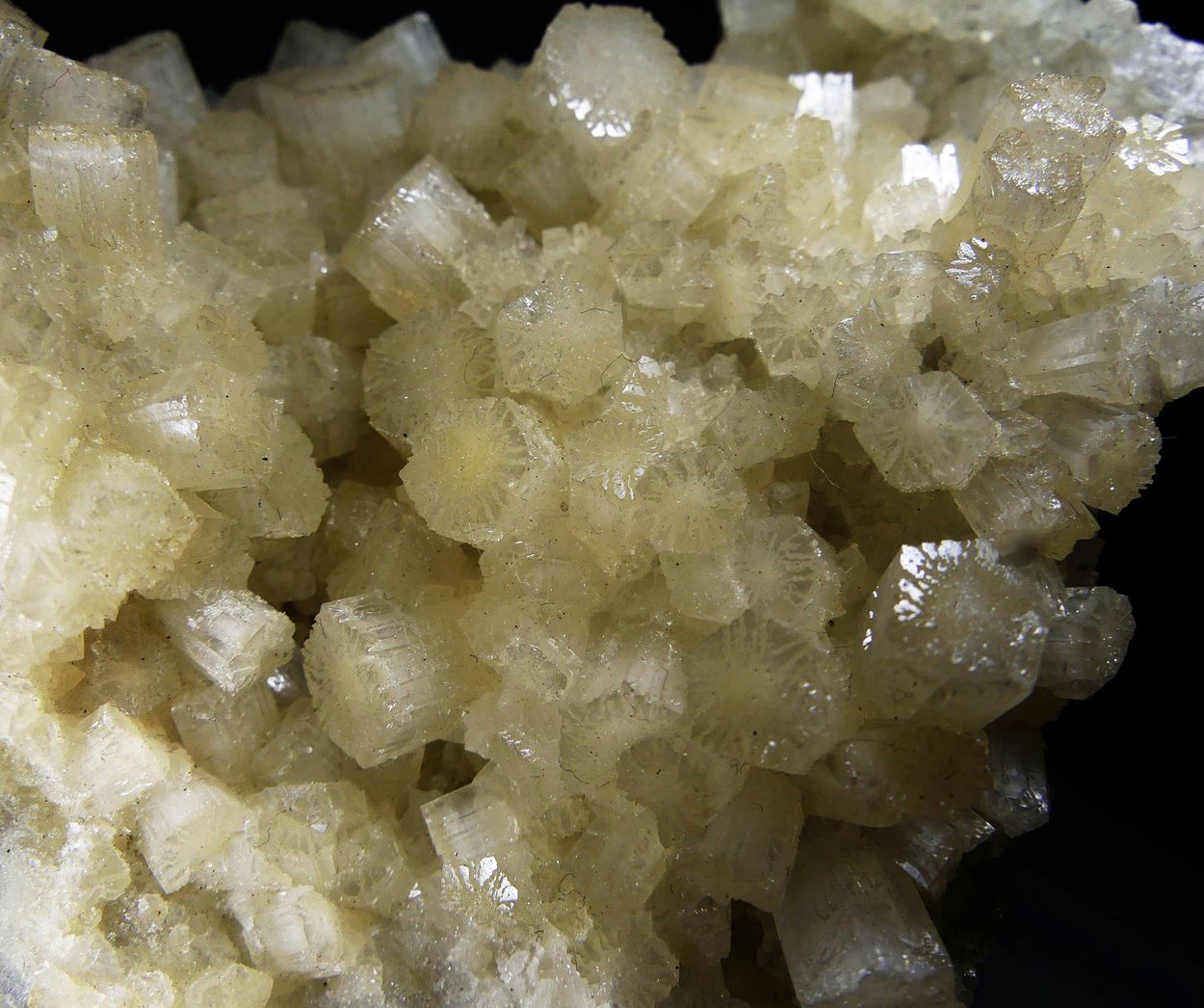 Aragonite With Native Sulphur