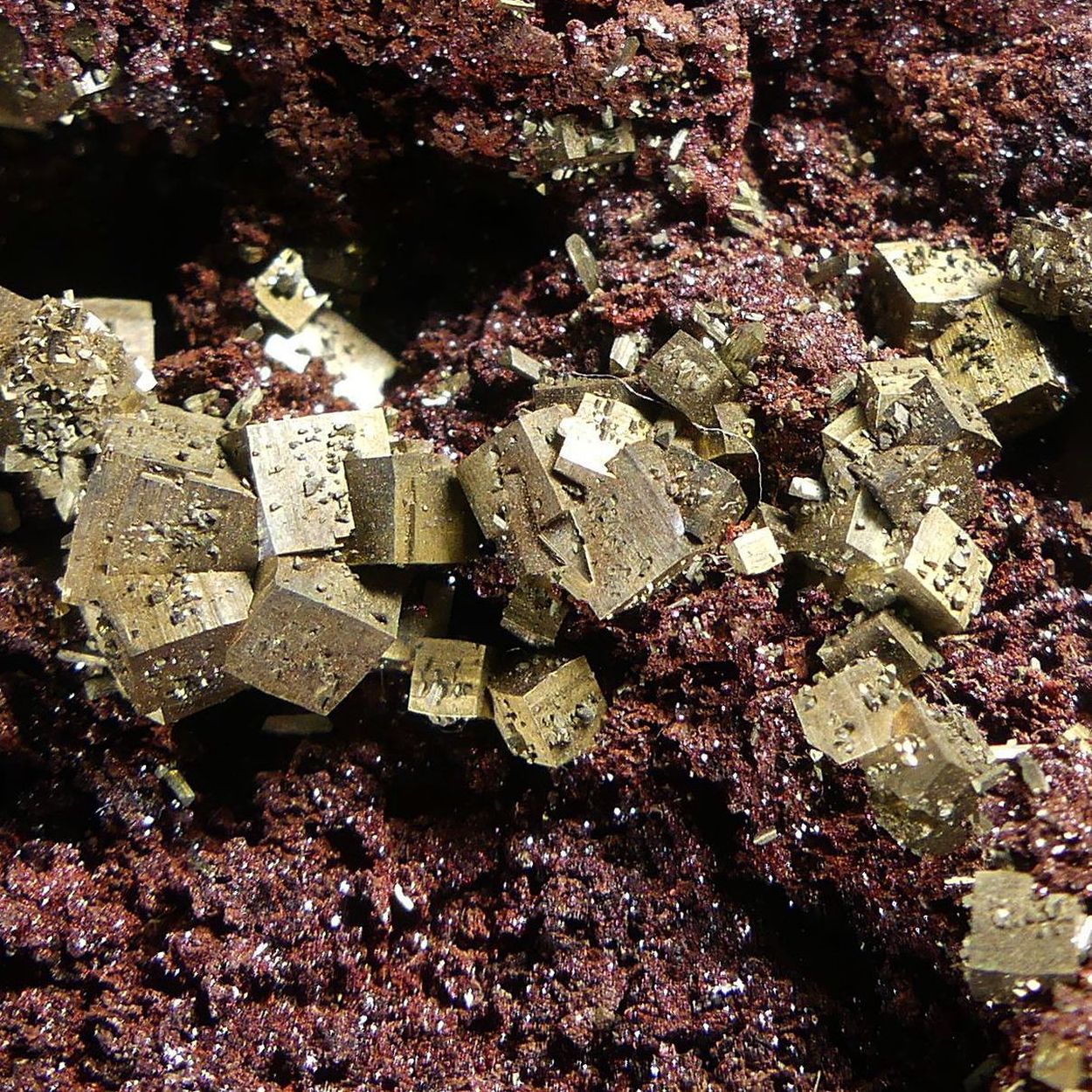 Pyrite On Hematite
