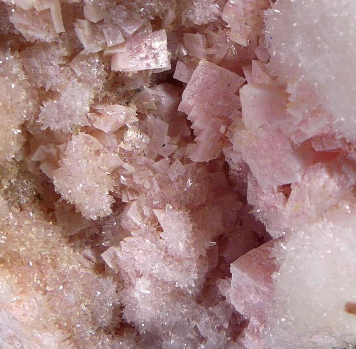 Rhodochrosite Quartz & Sphalerite