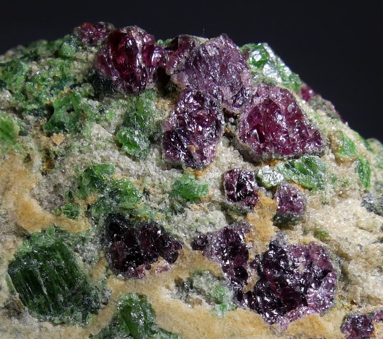 Pyrope Chromian Diopside & Forsterite
